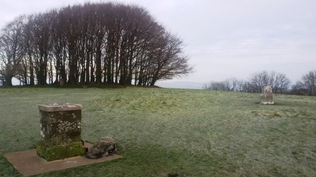 Topograph and trig point