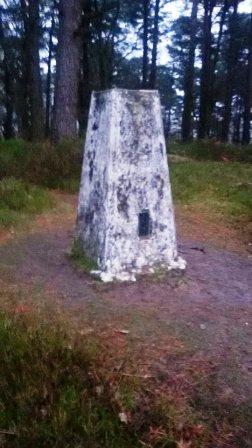 Summit trig on Black Down