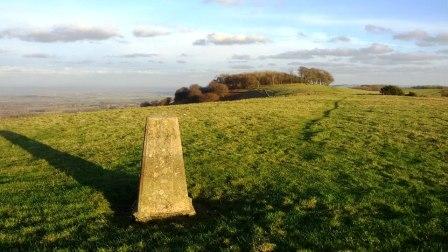 Looking over to Chanctonbury Ring