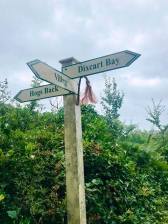 Great signage on all the paths and tracks