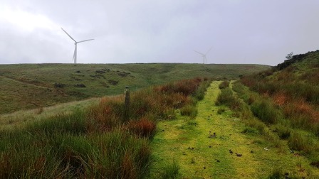 Initial green track up Bryn Amleg