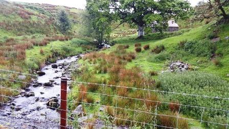 Picturesque stream on the descent