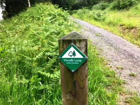 Following the Vinnalls Loop trail to the top