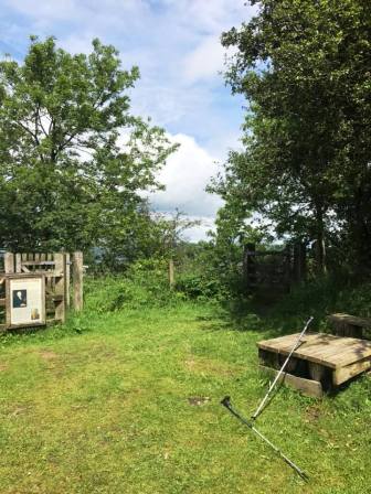 Callow Hill summit