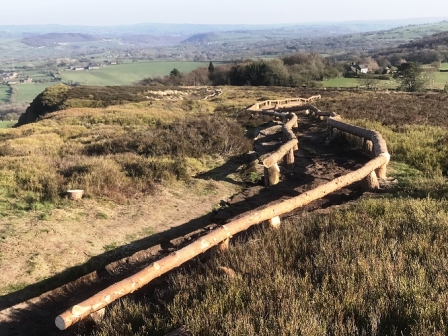 The trunk-lined path approaching the summit