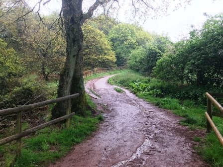 Initial path out of car park