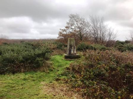 Summit of Brighstone Down