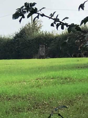 Trig point on Hegdon Hill