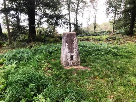 Aconbury Hill summit