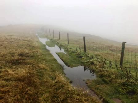 Mid section of the route, above Peak View Tearooms