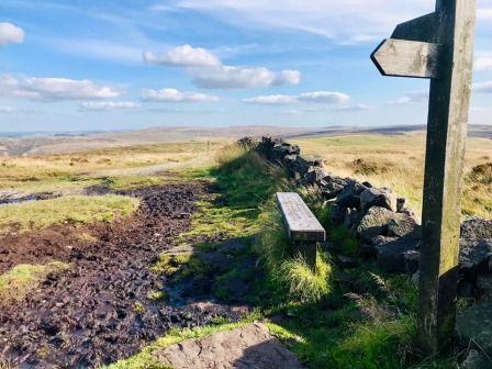 Shining Tor summit