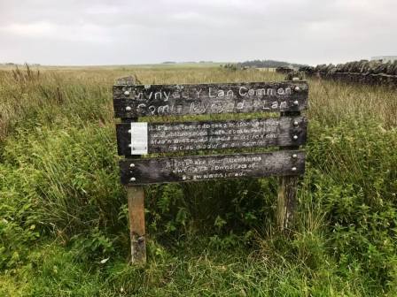 Mynydd y Lan Common