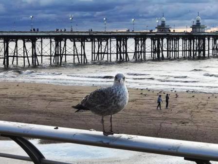 North Pier