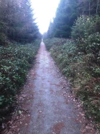 Very straight ascent path up Shobdon