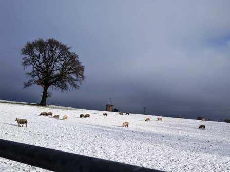 Winter Whirleyland