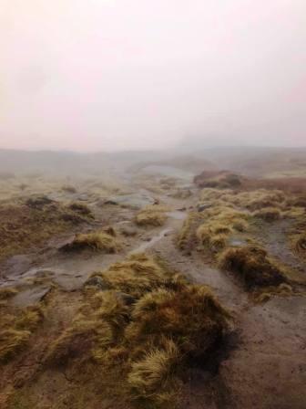 Bleak on Kinder!