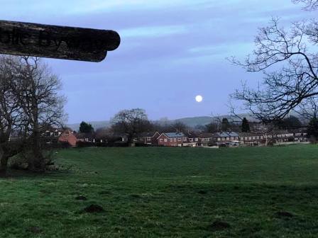 Looking from Penningtons Lane