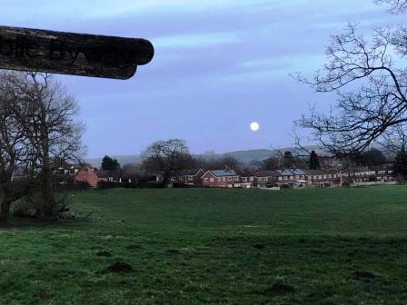 Looking from Penningtons Lane