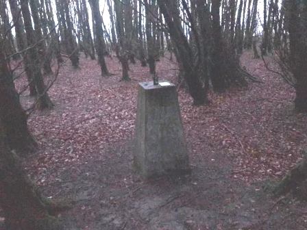 Trig point