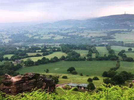 Misty view over to Gawsworth Common