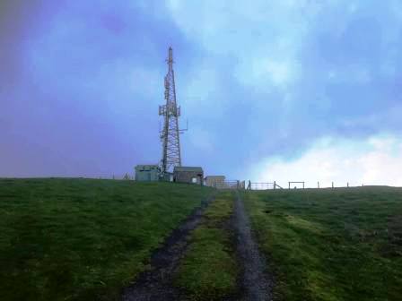 Mynydd-y-briw