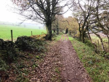 Gosberryhole Lane