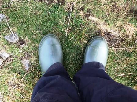 Liam's wellies!