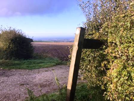 On Bishop Wilton Wold