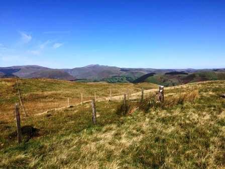 On Esgair Ddu