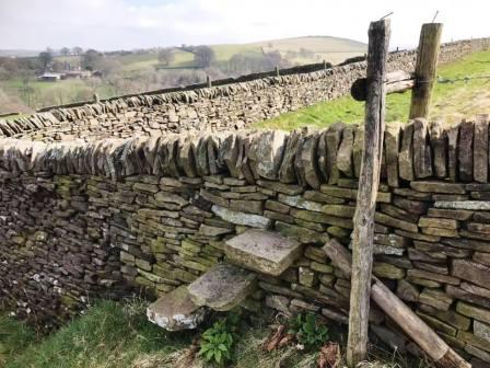 Wall stile approaching Brink Farm