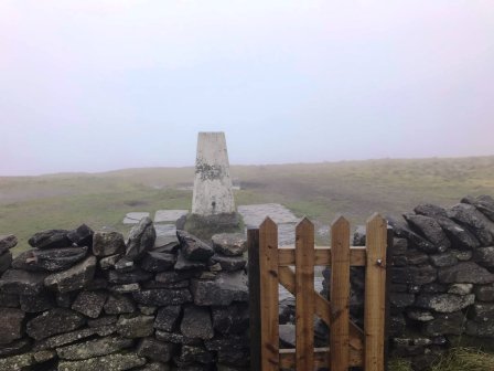 Shining Tor summit