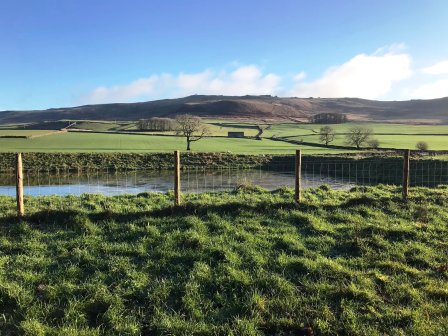 Looking up towards Cracoe Fell