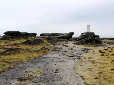 Kinder Low