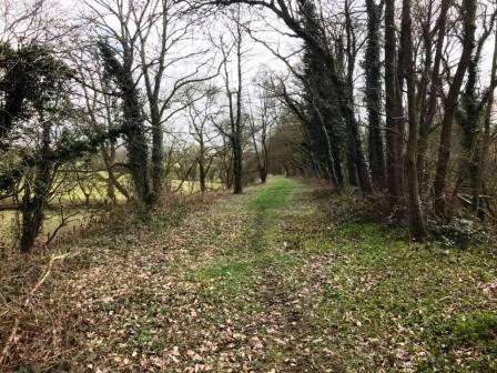 Dismantled railway towards Bosley Wood Treatment