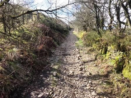 Heading up towards Forest Chapel