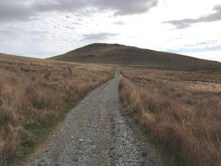 Track approaching Disgwlyfa Fawr