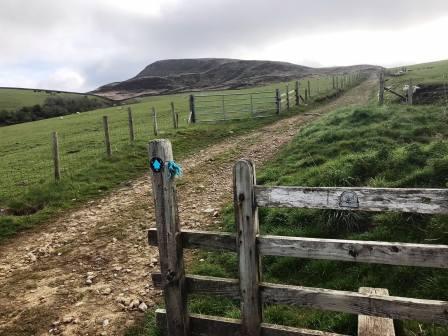 Stonier track gaining height