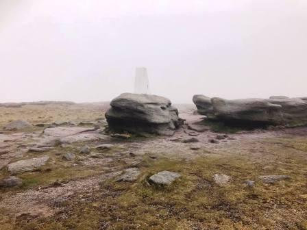 Kinder Low