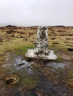 Trig point