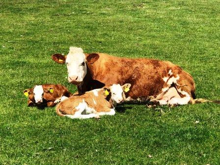 Proud mum!