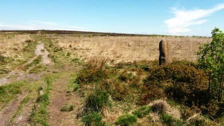 Stone marker halfway along