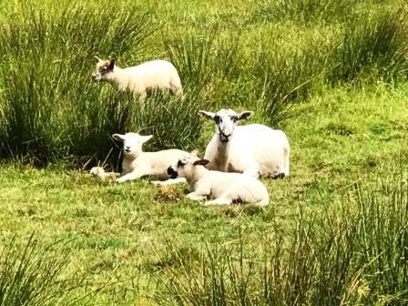 Trying not to disturb the locals!