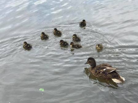 A proud mum of 8!