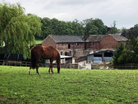 Farm at Higherfence