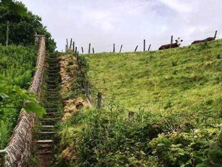 Climbing up towards Ecton Avenue