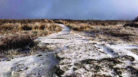 Summit of Black Hill