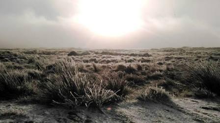 The frozen moor