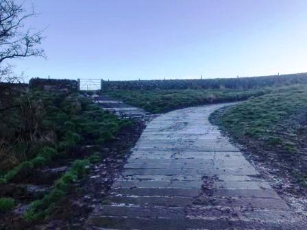 Track ascending Croker Hill