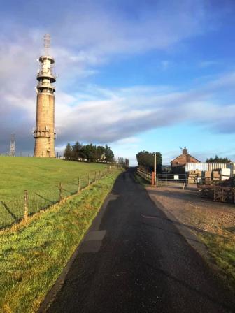 Looking back at Bosley Tower