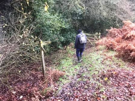 Muddy path down to Stilesmeadow Farm